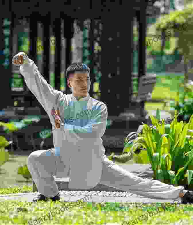 A Photograph Of A Tai Chi Master Performing The Powerful And Dynamic Movements Of The Azure Serpent School Lesser Known Tai Chi Lineages: Li Wu Sun Xiong