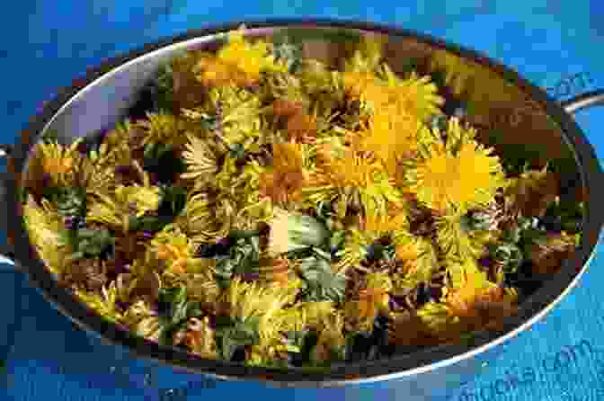 Dandelion Food You Can Forage: Edible Plants To Harvest Cook And Enjoy