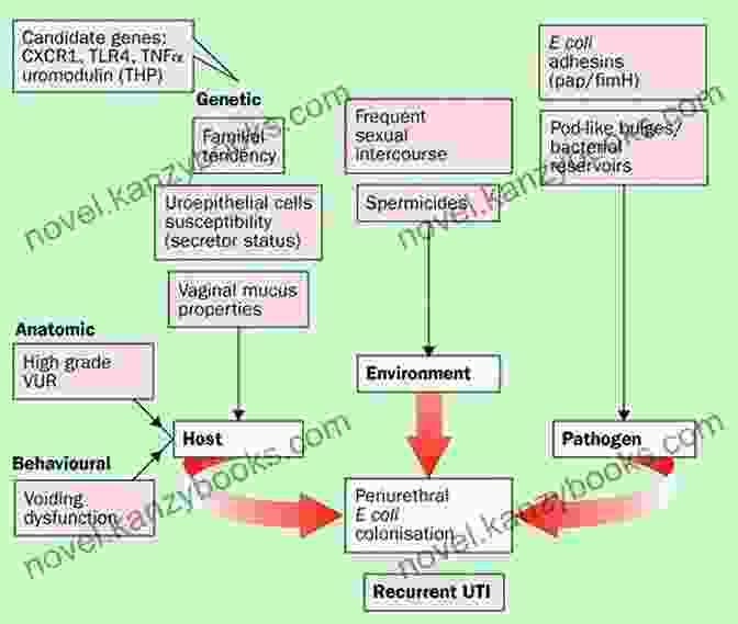 Pathways Of UTI Pathogenesis Chronic Fatigue Syndrome: Proceedings Of The Second Farber Center International Conference Held At Bar Ilan University Ramat Gan Israel December 12 13 1995