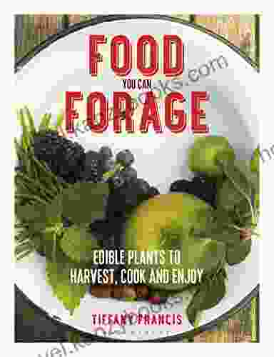 Food You Can Forage: Edible Plants To Harvest Cook And Enjoy