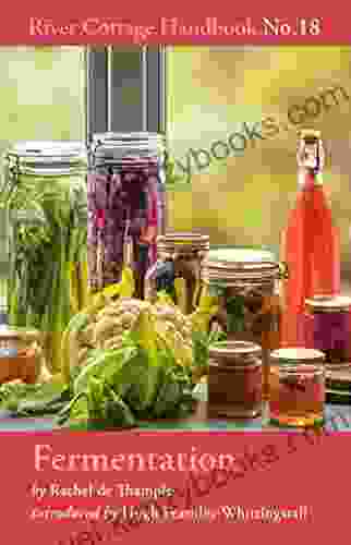 Fermentation: River Cottage Handbook No 18