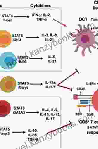 Molecular Basis Of Multiple Sclerosis: The Immune System (Results And Problems In Cell Differentiation 51)